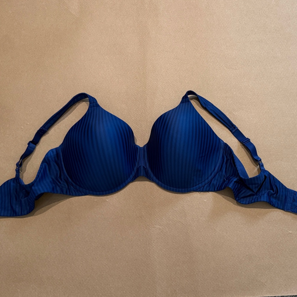 Playtex Bra (blue)